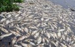 Trắng tay nếu không dạy con về môi trường