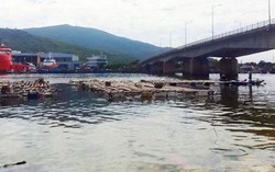 Phát hiện thi thể phụ nữ bị trói chặt tay chân, mặt bị bịt ở Đà Nẵng