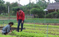 Nghỉ hè đưa con trải nghiệm nghề nông ở làng rau Trà Quế