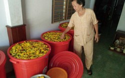 Người giúp phụ nữ kiếm tiền triệu từ rau già, vỏ trái cây