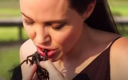 Angelina Jolie và các con ăn nhện, bọ cạp 