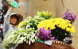 Những phụ nữ tần tảo mưu sinh giữa phố phường Hà Nội