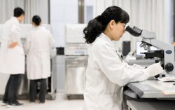 Đại học Y Tokyo bị phát hiện cố tình hạ điểm thi của hàng loạt thí sinh nữ