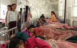 Nghi ngộ độc thực phẩm tập thể tại trường tiểu học ở Hà Giang