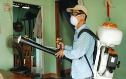 Mẹ và bé nghi bị chứng đầu nhỏ từng nhiễm virus Zika