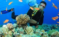 Cơ hội sở hữu gần 10.000 tour du lịch giảm đến 50% giá