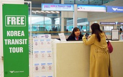 Mang thịt lợn trái phép vào Hàn Quốc có thể bị phạt tới gần 200 triệu đồng