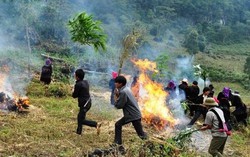 Tăng cường các biện pháp cấp bách phòng cháy, chữa cháy rừng