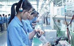 Chênh lệch lớn về mức thưởng Tết 2019 ở các khối doanh nghiệp