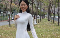 Giới trẻ Sài Gòn tranh thủ chụp ảnh với hoa kèn hồng ngày cuối tuần