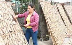 Ứng trước 3.000 tỷ đồng chuyển sớm cho ngư dân 