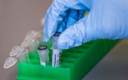 Tìm ra phương pháp chỉnh sửa các gene bị lỗi trong cơ thể