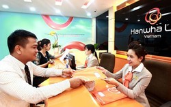 Nở rộ dịch vụ bảo hiểm sức khỏe, các công ty vào cuộc đua