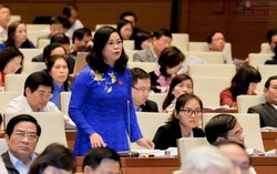 'Thủy điện Hố Hô xả lũ' làm nóng phiên chất vấn tại nghị trường