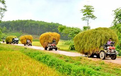 Cơ hội giành 50 triệu đồng khi viết truyện ngắn về nông thôn
