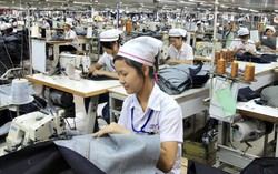 Không có chuyện sa thải số lượng lớn lao động nữ trên 35 tuổi