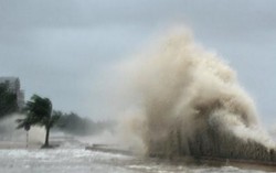 Bão số 2 với cột sóng cao hàng chục mét hướng vào Thanh Hóa-Hà Tĩnh