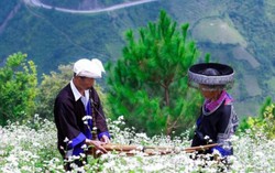 Tiếng khèn Mông dệt bao chuyện tình đắm say