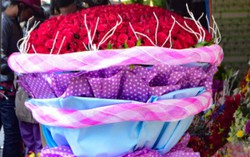 Bó hồng nghìn bông mừng 8/3