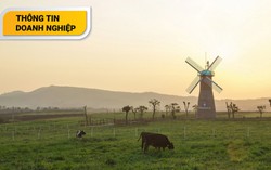 Cùng gia đình Xuân Bắc khám phá trang trại Vinamilk Organic