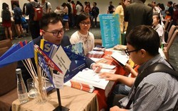 Tiếp nhận 200 hồ sơ chính thức lao động kết hợp kỳ nghỉ tại Australia