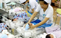 Cơ cấu chất lượng dân số theo vùng miền tại Việt Nam 'còn nhiều vấn đề'