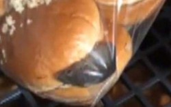 Kinh hãi phát hiện chuột sống trong túi bánh burger 