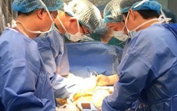 Bà nội, chú họ hiến gan cứu 2 bệnh nhi nguy cơ tử vong cao