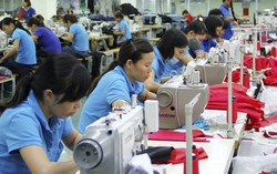 10 quyền lợi cơ bản người lao động cần biết 
