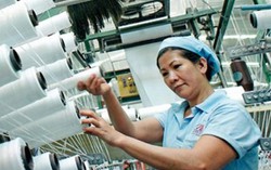 Tổng Liên đoàn Lao động: Đề xuất tăng lương tối thiểu 8% là có tình và lý