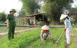 Khi nào phạm nhân được tham gia bảo hiểm xã hội tự nguyện?