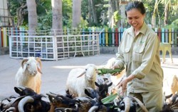 Quản thú ở Thảo Cầm Viên: Khổ như chăm hổ!