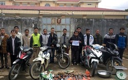 Công an Lai Châu phá chuyên án trộm trâu, bò