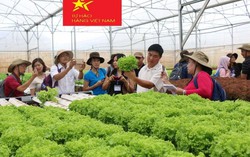 Hội chợ kết nối hàng nông sản an toàn thực phẩm do phụ nữ sản xuất