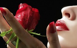  Truy tìm kẻ gửi hoa hồng giấu mặt