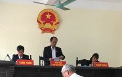 Tạm đình chỉ vụ án 'em vay nợ, anh chị mất nhà'