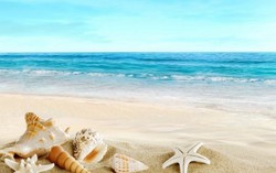Chuyện tình của cát