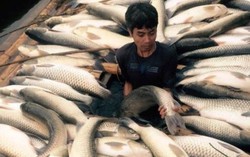 Phạt 3 công ty xả thải ra sông Bưởi gần 4 tỷ đồng