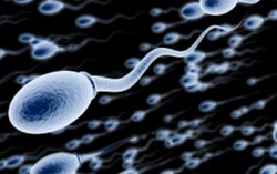 Tăng 'quân số' tinh trùng sau mỗi bữa ăn