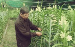 HTX làm đẹp cho đời