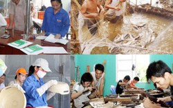 3 tháng, hơn 556 nghìn người nghèo được vay vốn ưu đãi