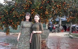 Nườm nượp khách đến xem cây quýt cổ thụ giá trăm triệu ở Vinh