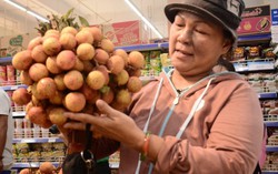 Vải thiều 'bao ngon' tới tay người dân Sài Gòn