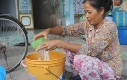 Thoát nghèo nhờ tổ hợp chanh muối
