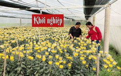 Những 'con sóng nhỏ' phát triển kinh tế gia đình của phụ nữ Vĩnh Long