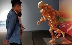 Ngày mai, Bộ Văn hóa, Thể thao và Du lịch vào TPHCM kiểm tra triển lãm cơ thể người