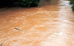 Yên Bái: Mưa lũ cuốn trôi 1 phụ nữ, nhiều địa phương bị úng ngập