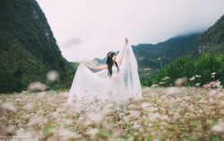 Mê mẩn ảnh cô dâu trên cao nguyên đá Hà Giang