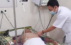Cụ bà bị ong vò vẽ đốt hàng chục nốt ngừng tim, ngừng thở