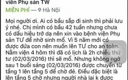 Giả mang thai lừa gia đình rồi ‘đổ vạ’ bệnh viện
